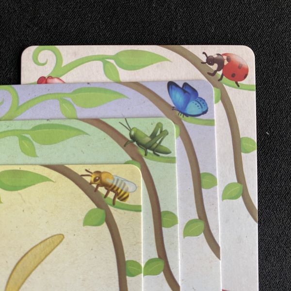 Oh My Orchids! - Image 5